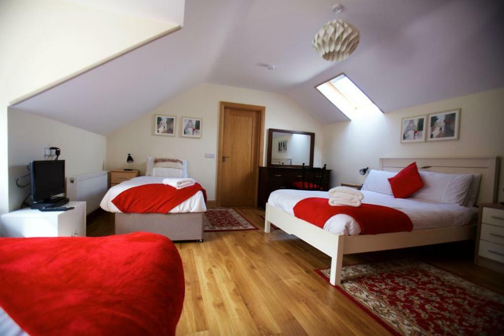 Woodview House Bed And Breakfast 코크 외부 사진